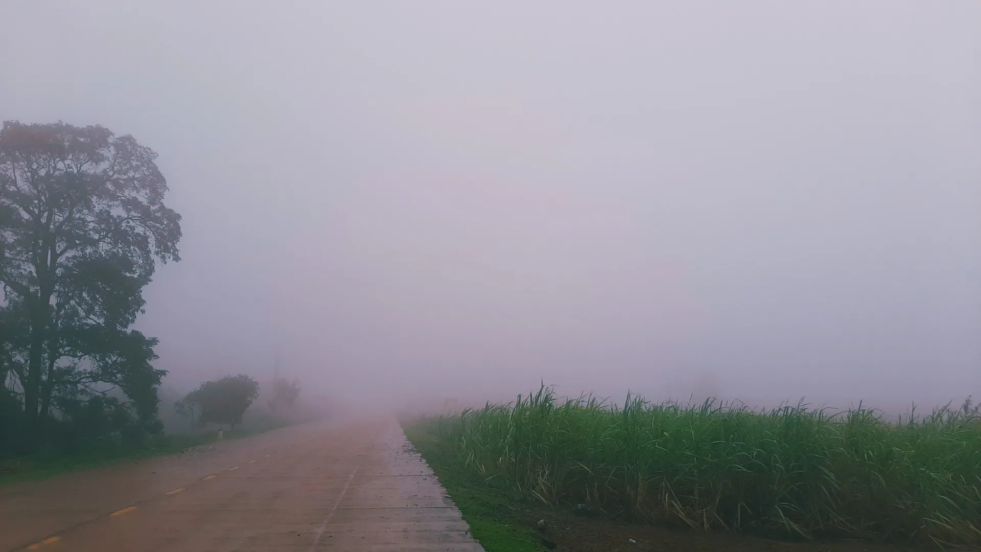 Ảnh con đường hoang sơ mờ ảo dẫn lên Cao nguyên Vân Hòa ngập trong sương mù dày đặc